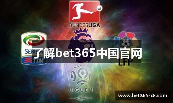 了解bet365中国官网